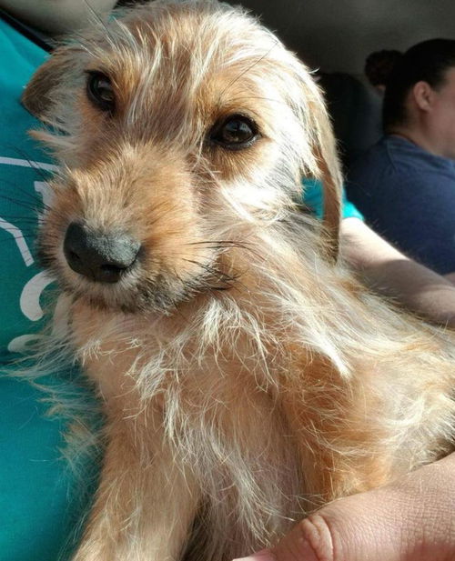 Charlie