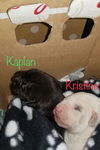 Kaplan