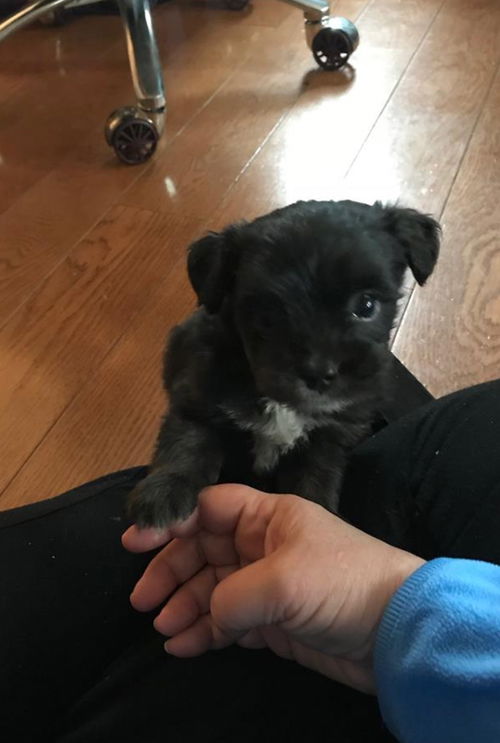 Jax