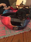 Jax