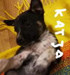 Katza