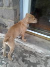 Parker