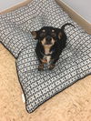 Little Caesar