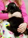 Lilly