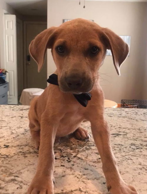 Jax