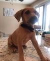 Jax