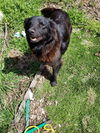 Onyx