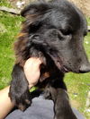 Onyx