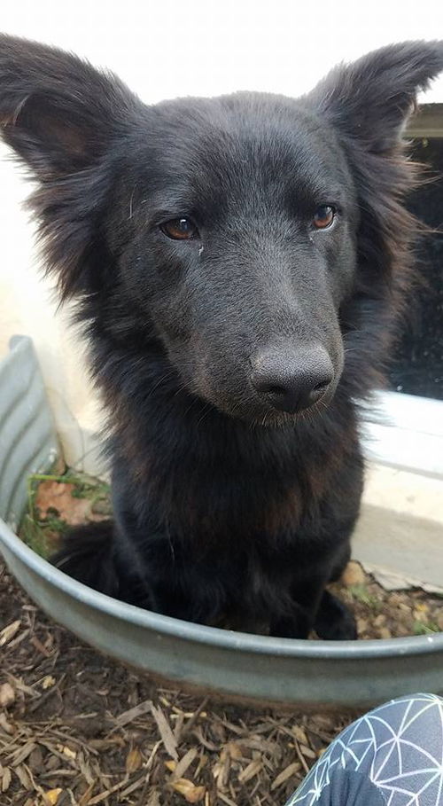 Onyx