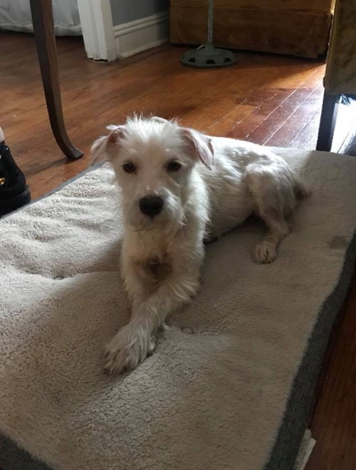 Gracie