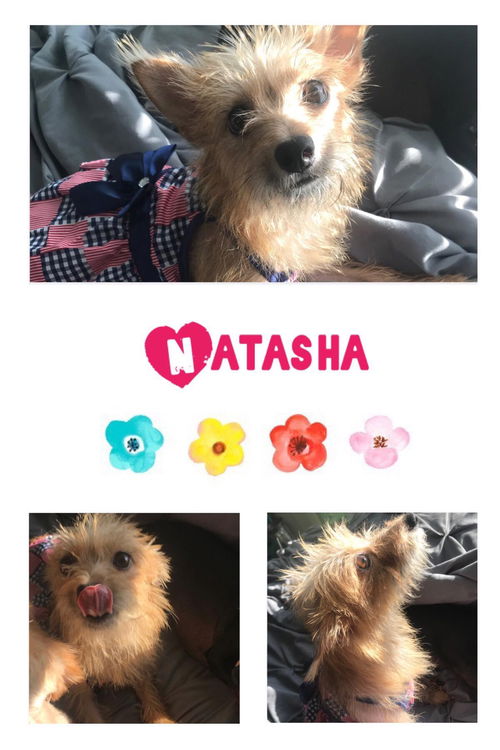 Natasha (TX)