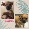 Nadia