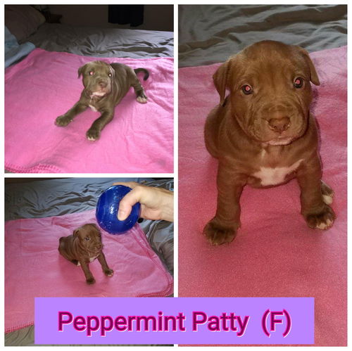 Peppermint Patty