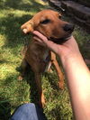 Penny