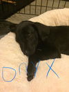 Onyx