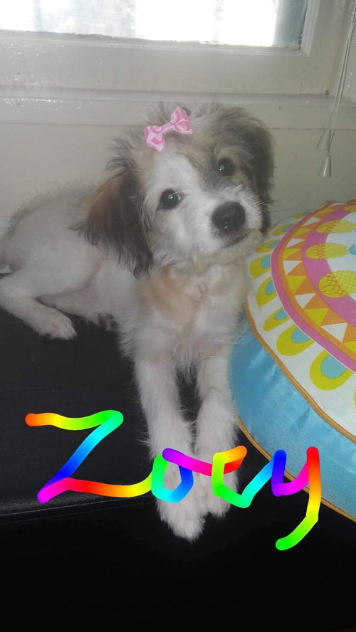 Zoey
