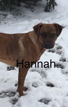 Hannah