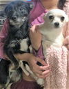 Onyx and Tiffany