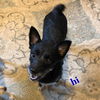 Onyx and Tiffany