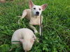 Marcy and Miley