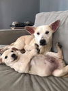 Marcy and Miley