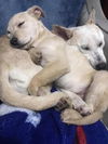 Marcy and Miley