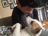 Cesar