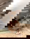 JD
