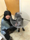 Greyson