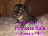 Kate