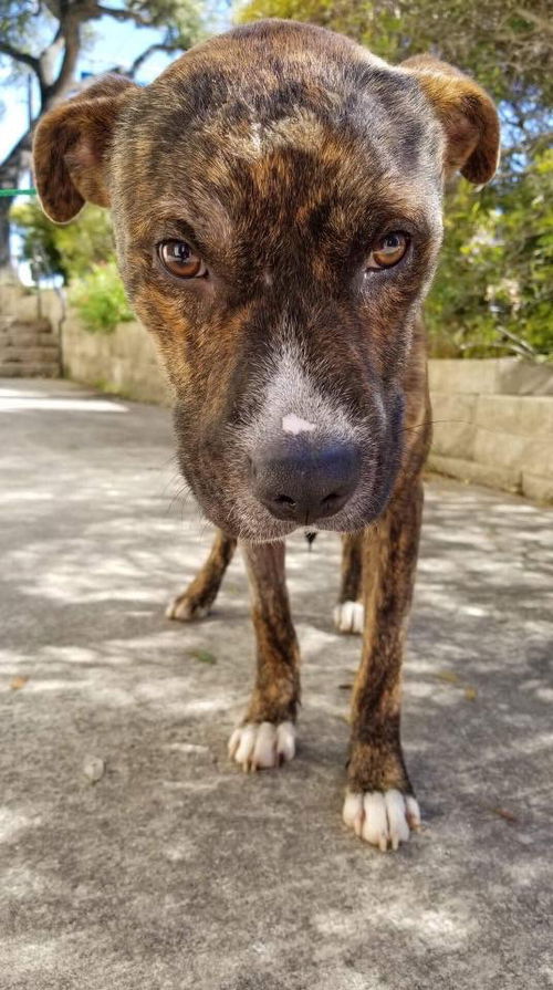 Jax