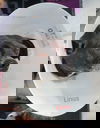 Linus