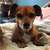 Patsy