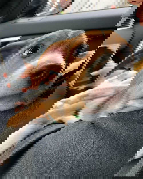 Peter