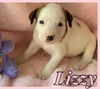 Lizzy