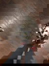Jax