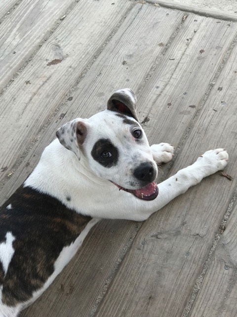 Jax