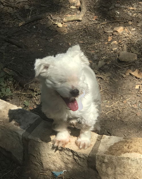 Casper