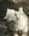 Casper