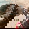 Elliott