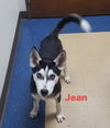 Jean