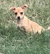 Isabelle (TX)