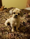 Charlie