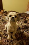 Charlie
