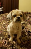 Charlie
