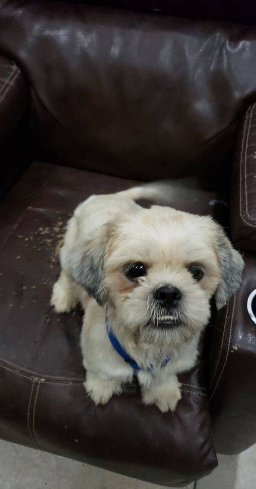 Charlie