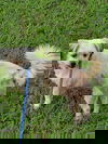 Janey