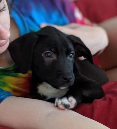 Zoey