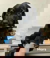 Mars