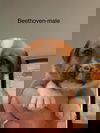 Beethoven